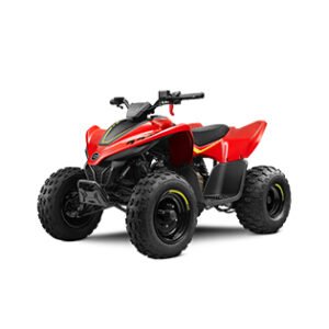 Cforce 110LV